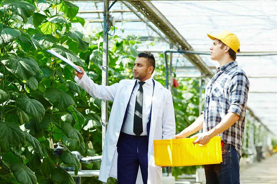 Trusted Crop Protection Services Across Qatar